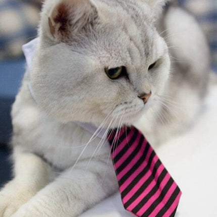 Cute Pet Ties, Dog Collar Cat Collar, Pet Bow Ties, Dog Tie, Smart Looking Pet Costume