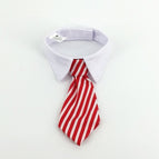 Red Stripes / S