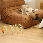 Mouse model