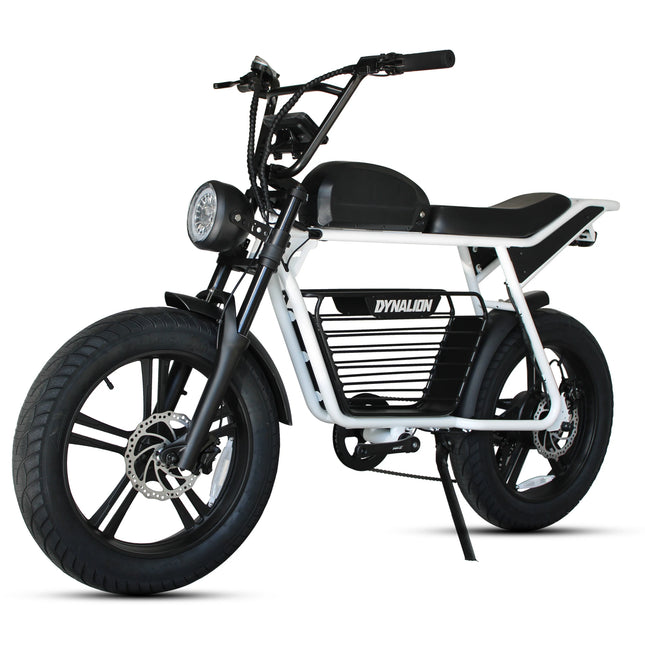 Fat Electric Bike