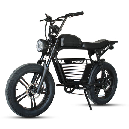 New Model 750W Electric Bike