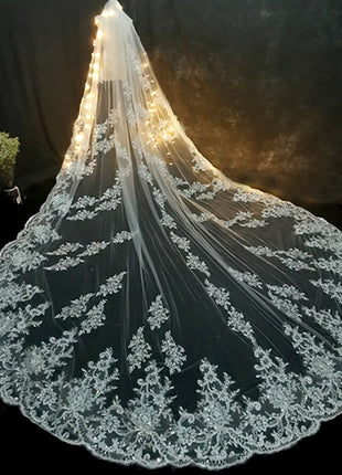 Luxury Long Bridal Veil White Ivory Wedding Veils With Comb Lace Edge Applique Elegant Cathedral Length Wedding Accessories