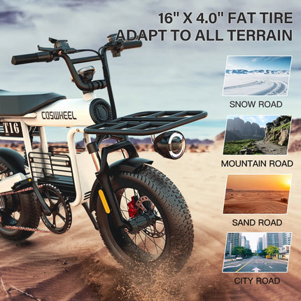 COSWHEEL T16 City Electric Bike EU US Road Fatbike Fat Tire Ebike Electric Bike Factory