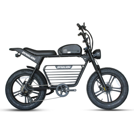 500W Electric Bike