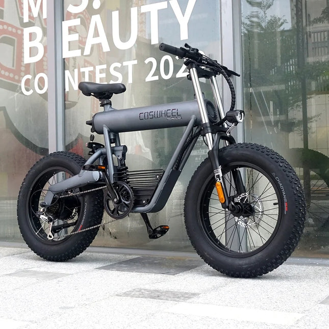 E Bike 48V 1000W 1500W 20 Inch Beach Cruiser 50KM/H Electric Bike