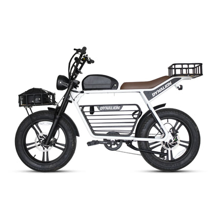 New Model 750W Electric Bike