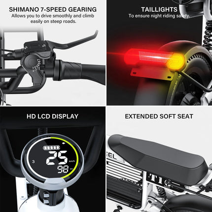 COSWHEEL T16 City Electric Bike EU US Road Fatbike Fat Tire Ebike Electric Bike Factory