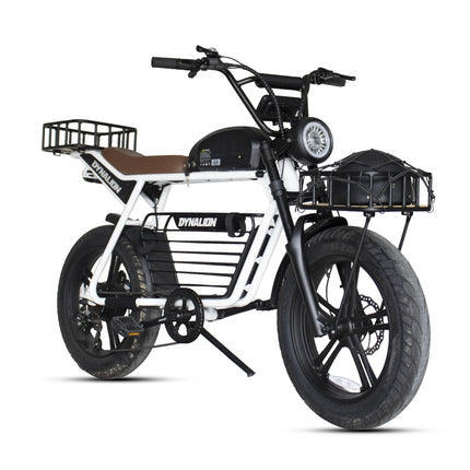 Fat Electric Bike