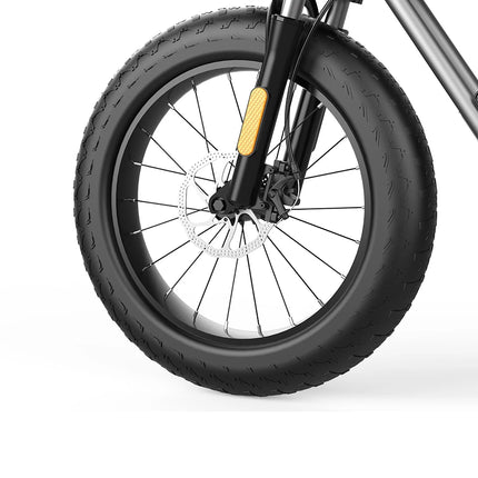 Coswheel T20 Go to Work to School Electric Bike Fast Transport Electric Bike Good Quality Electric Bicycle