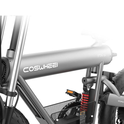 Coswheel T20 Go to Work to School Electric Bike Fast Transport Electric Bike Good Quality Electric Bicycle