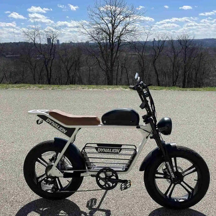 500W Electric Bike