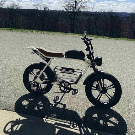 Fat Electric Bike