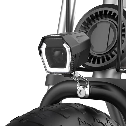 Coswheel T20 Go to Work to School Electric Bike Fast Transport Electric Bike Good Quality Electric Bicycle