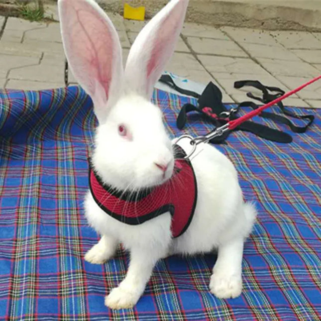 Rabbits Hamster Vest Harness With Leas Bunny  Mesh Chest Strap Harnesses Ferret Guinea Pig Small Animals Pet Accessories S/M/L 4