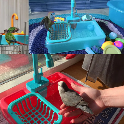 Parrot Paddling Pool Automatic Parrot Bathtub Swimming Pool Faucet Parrot Bath Shower Water Dispenser Bird Feeder Bird Cage