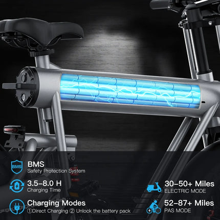 E Bike 48V 1000W 1500W 20 Inch Beach Cruiser 50KM/H Electric Bike