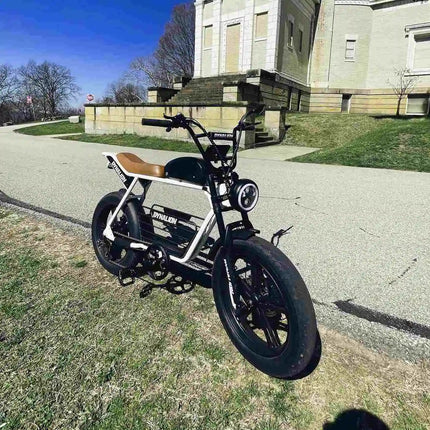 Fat Electric Bike