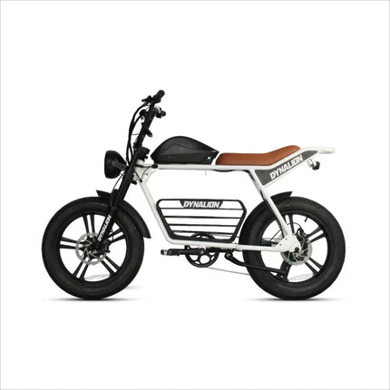 Fat Electric Bike