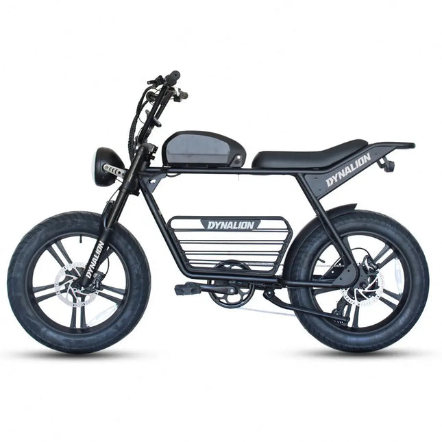 New Model 750W Electric Bike