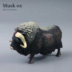Musk ox