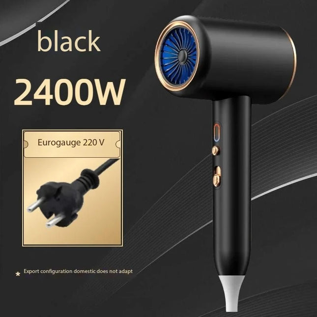 F33 Professional Hair Dryer Hot Cold Wind Air Brush