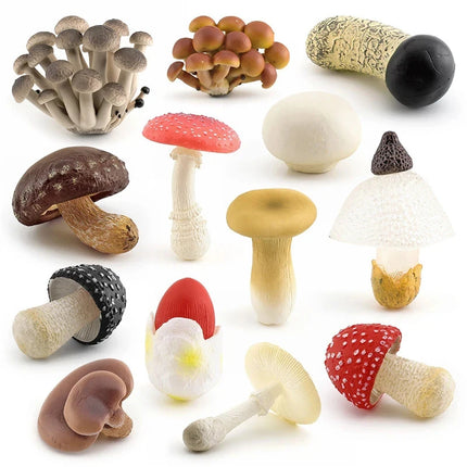 Mini Mushroom Matsutake Oyster Garden Landscape Miniatures Diy