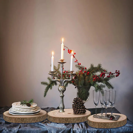 DIY Natural Wood Slices with Tree Rings Round Craft Board for Clay Crafts Base - Paulownia Wood Tray