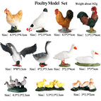 11pcs
