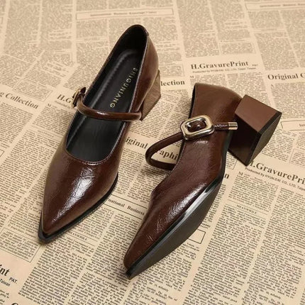 Premium Leather Mary Janes - French Vintage Pointed Toe Pumps Chunky Heel