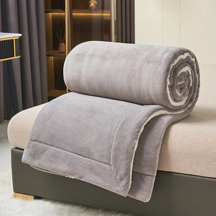 Super Soft Imitation Lambswool Blanket Autumn Winter Double Queen Blankets High Quality