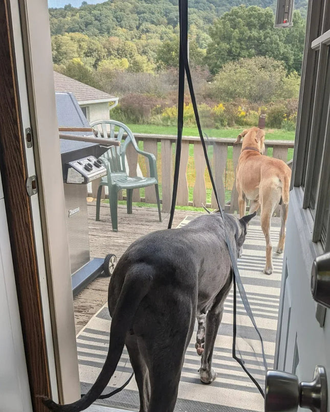 Magnetic Door Screen Insect Mosquito Net Curtain Black Fly Insect Auto Closing Invisible Mesh For Kitchen indoor living room