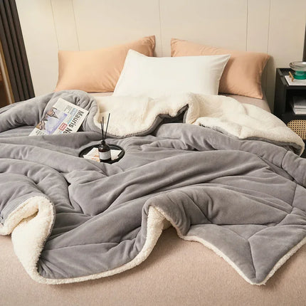 Winter Warm Blanket Mechanical Wash Double Layer Queen Blankets for Beds