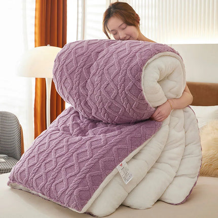 Super Thick Winter Warm Blanket for Bed Artificial Lamb Cashmere Weighted Blankets