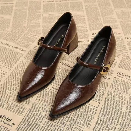 Premium Leather Mary Janes - French Vintage Pointed Toe Pumps Chunky Heel