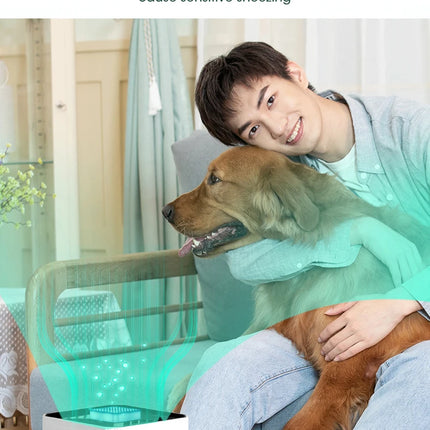 Air Purifier Smoke Odor Negative Ion Generator Protable Air Cleaner Household USB Free Shipping HEPA Replaceable Filter Choosen