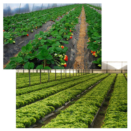 11/15/20/30cm Garden Landscaping Stakes Lawn Pins Pegs Garden Border Plastic