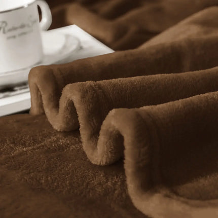 Soft Blanket for Fall Winter Spring All Season Thicken Warm Fuzzy Microplush Lightweight
