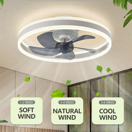 Led Ceiling Fan Without Lights DC Motor 6 Speeds Timing Fans 50CM Low Floor Loft Remote Control Lux&vitae Fan With Lights