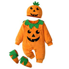 set11 / 100(18-24M)