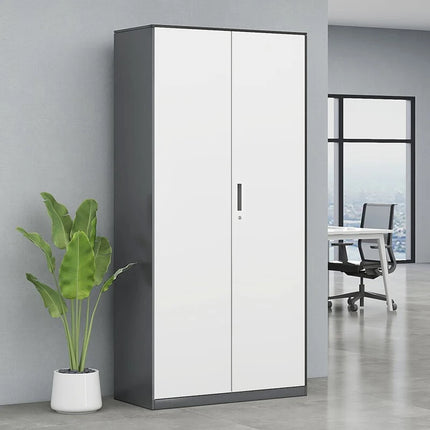 Kitchen Modern Filing Cabinet Living Room White Metal Locker Cabinet Medicine Office Garage Bureau Meuble Furniture Home