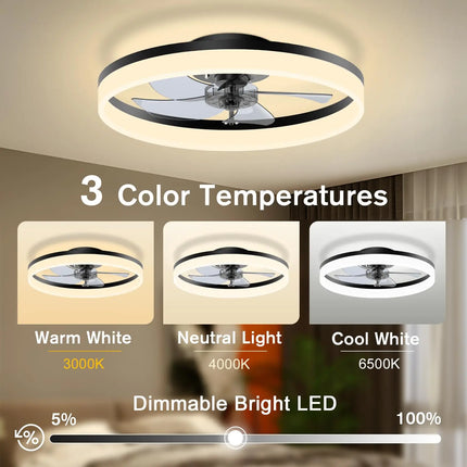 Simple LED Ceiling Fan Light Remote Control with Infinite Dimming 6 Levels of Wind Speed Living Room Bedroom chandelier fan