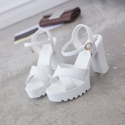 Sandals for Women One Word Summer 2024 Block Heel Ladies Shoes Wedge with Platform Waterproof Footwear Chunky Super-high Beige