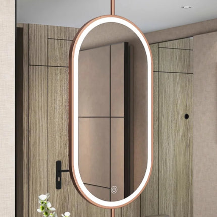 Ceiling Oval Hanging Mirror Modern Simple Home Decoration Bathroom Vanity Mirror LED Lighting Hd Cosmetic Mirror Size60x90cm