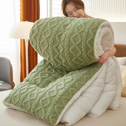 Super Thick Winter Warm Blanket for Bed Artificial Lamb Cashmere Weighted Blankets