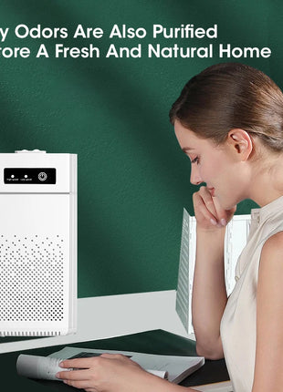 Air Purifier Smoke Odor Negative Ion Generator Protable Air Cleaner Household USB Free Shipping HEPA Replaceable Filter Choosen