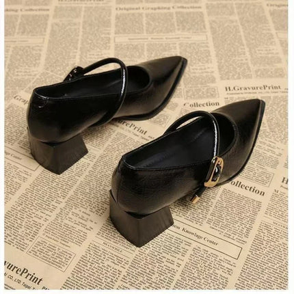 Premium Leather Mary Janes - French Vintage Pointed Toe Pumps Chunky Heel