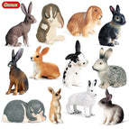 12pcs 2