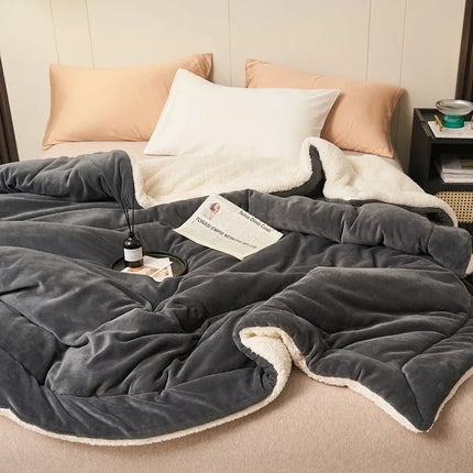 Winter Warm Blanket Mechanical Wash Double Layer Queen Blankets for Beds