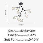 Black B 9 Heads / 3 shades of light
