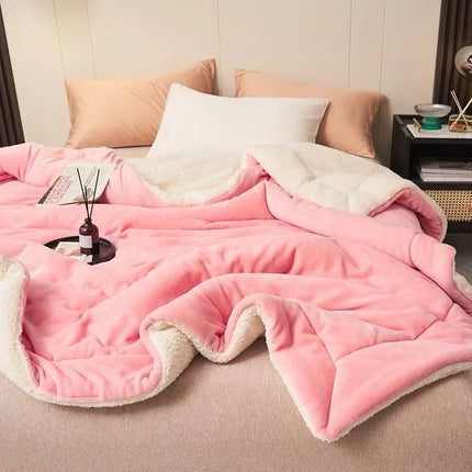Winter Warm Blanket Mechanical Wash Double Layer Queen Blankets for Beds